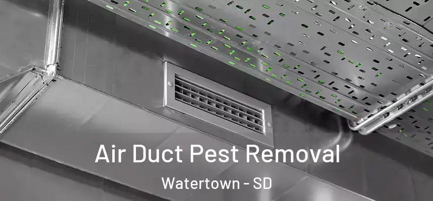 Air Duct Pest Removal Watertown - SD