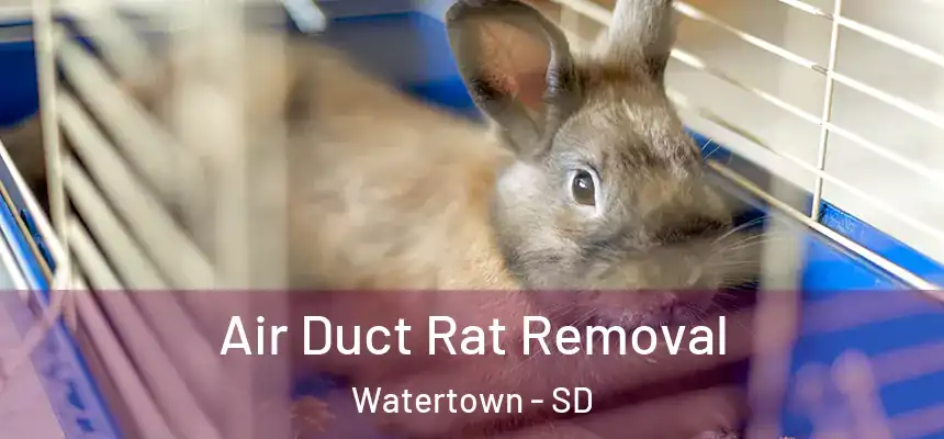  Air Duct Rat Removal Watertown - SD