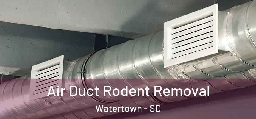  Air Duct Rodent Removal Watertown - SD