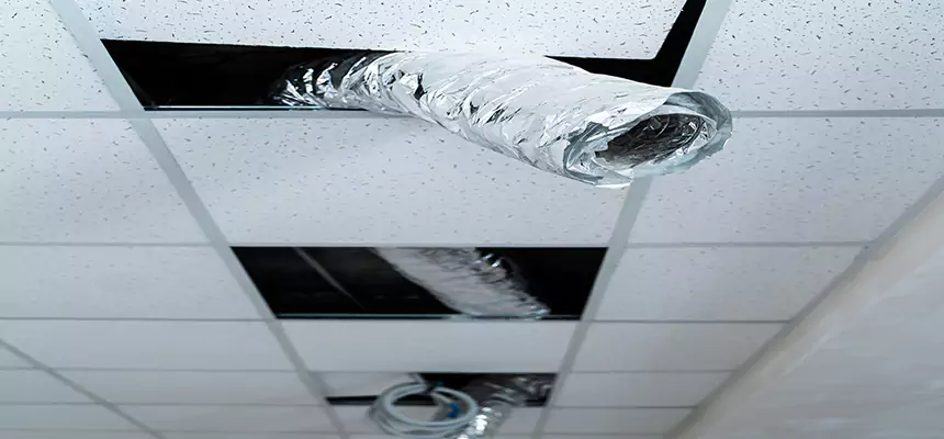 Our Air Duct Pet Hair Removal Services in Watertown, SD