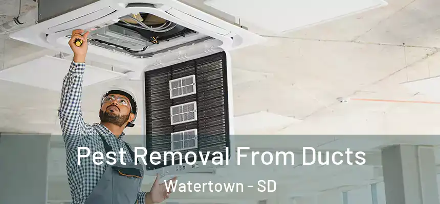  Pest Removal From Ducts Watertown - SD