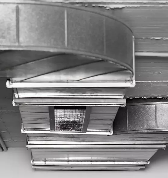 Professional Air Duct Pest Removal in Watertown, SD