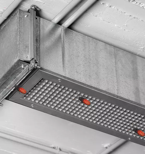 Affordable Insect Removal from Air Ducts in Watertown, SD